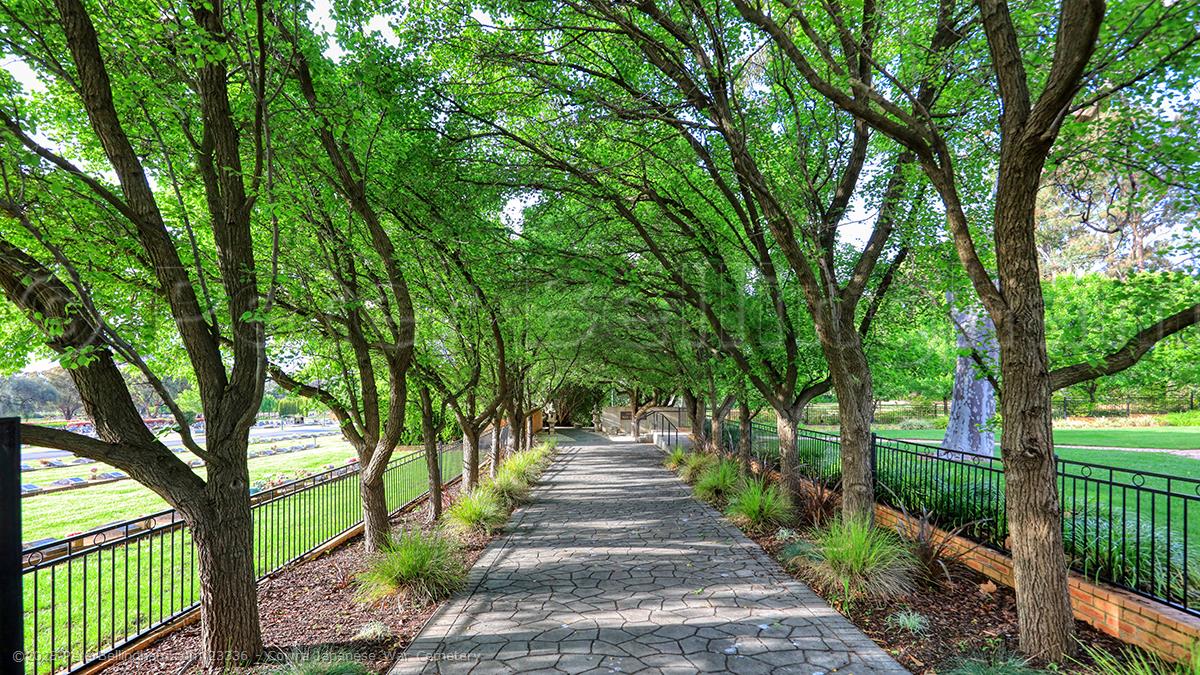 Peter Bellingham Photography Cowra Japanese War Cemetery